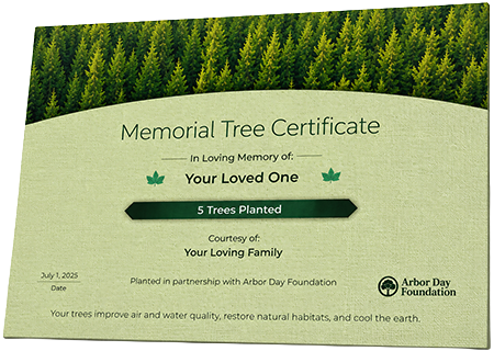 Plant Trees in Memory of Robert Edward Puryear
